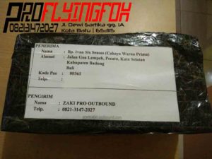 082131472027, Jual Carabiner Murah, Jual Carabiner Grosir, Pengiriman Carabiner Am’D Triact Lock (1)