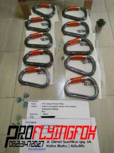 082131472027, Jual Carabiner Murah, Jual Carabiner Grosir, Pengiriman Carabiner Am’D Triact Lock (2)