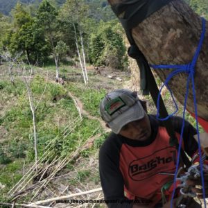 082131472027, Wahana Outbound Karawang, Wahana Outbound Bekasi, Pemasangan Wahana Outbound di Gunung Gamalama (2)